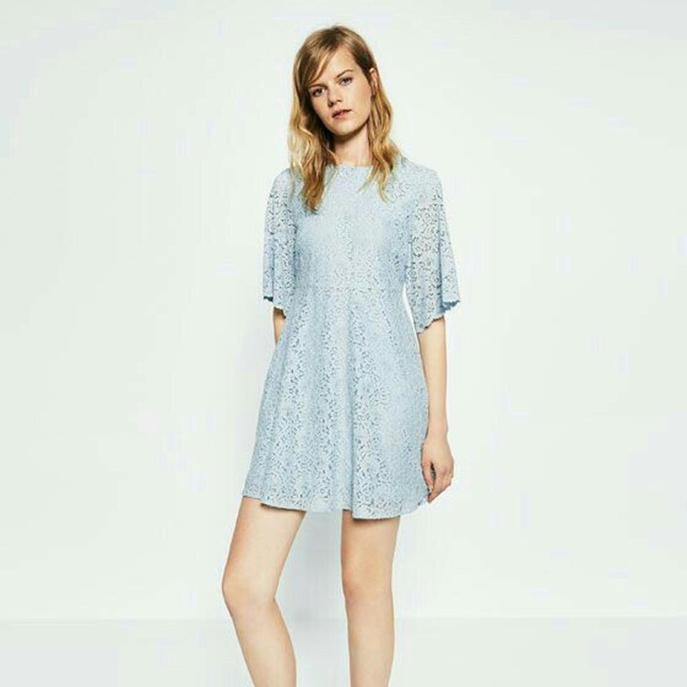 Zara Flounce Sleeve Lace Dress